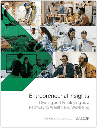 Entrepreneurial Insights: Owning and Employing as a Pathway to Wealth and Wellbeing Report Cover